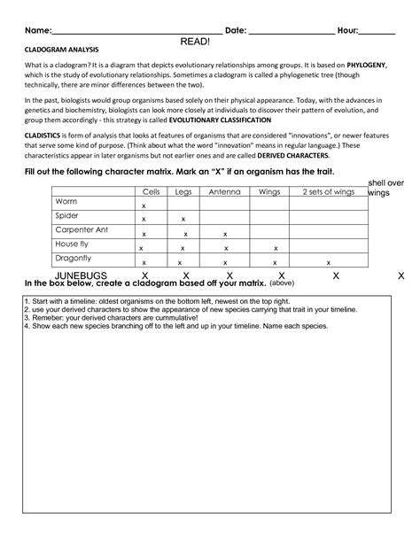 cladogram worksheet answers Doc Template | pdfFiller - Worksheets Library