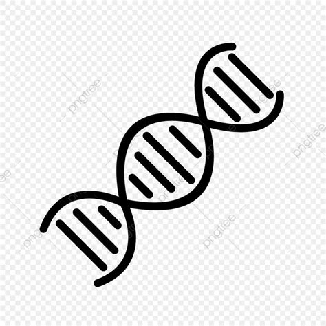 Dna Icon Clipart Vector, Vector Dna Icon, Dna Icons, Dna, Genetics PNG Image For Free Download ...