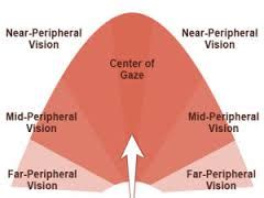 Peripheral Vision: Definition & Problems | Study.com