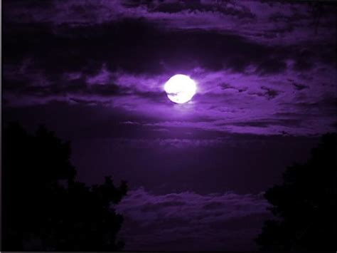 Purple Moon Wallpaper