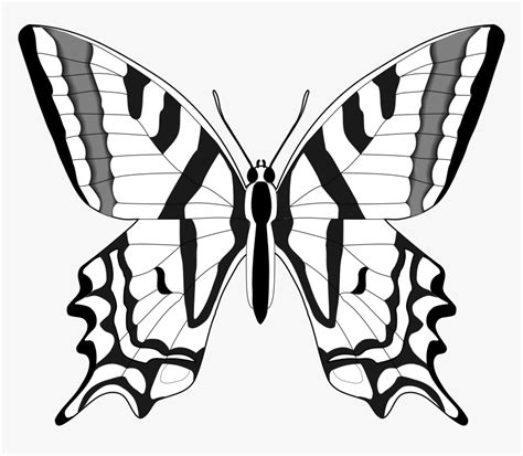 Butterfly Clip Art Line Drawing - Clipart Butterfly Images Black And White, HD Png Download ...