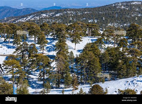 Snow in the troodos mountains hi-res stock photography and images - Alamy