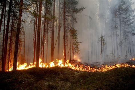 Climate change is here, and the world is burning - The Globe and Mail