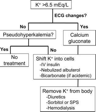 A Physiologic-Based Approach to the Treatment of Acute Hyperkalemia - American Journal of Kidney ...