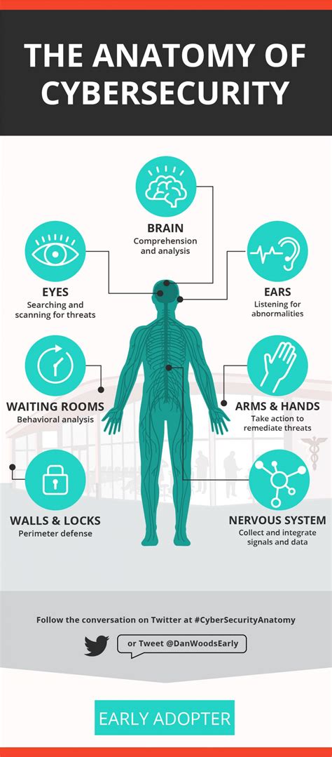 Infographic - The Anatomy of Cybersecurity — Early Adopter