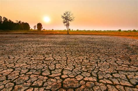 El Nino drought: Thailand braces for potential impact, agencies prepare | Thaiger