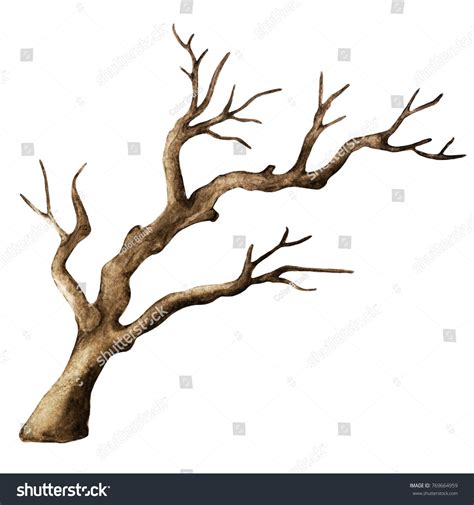 Watercolor Dry Tree Branch Bare Tree Stock Illustration 375135256 Tree ...