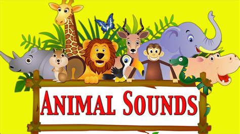 Animal Sounds For Kids ★ Part 1 ★ learn - school - preschool - kindergarten - YouTube