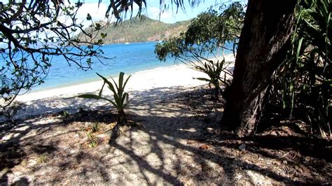 Camping in the Whitsunday Islands - YouTube