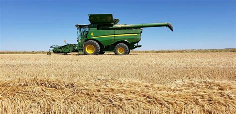 Schemper Harvesting | Montana Winter Wheat 2020 | All Aboard Wheat Harvest | Flickr