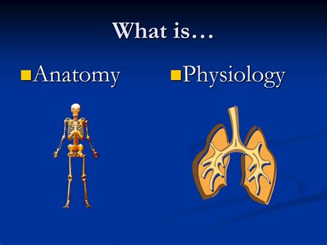 Drab Anatomy Physiology Free Vector - Www