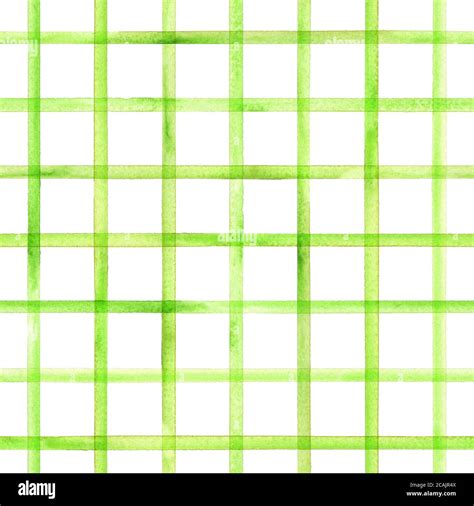 Watercolor stripe plaid seamless pattern. Green stripes on white background. Watercolour hand ...