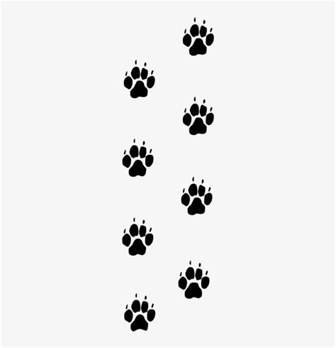 Paw Print Trail Png - Wolf Paw Prints Png - 350x800 PNG Download - PNGkit