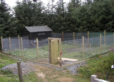 Keeping chickens: the site | Chicken enclosure, Chickens backyard ...