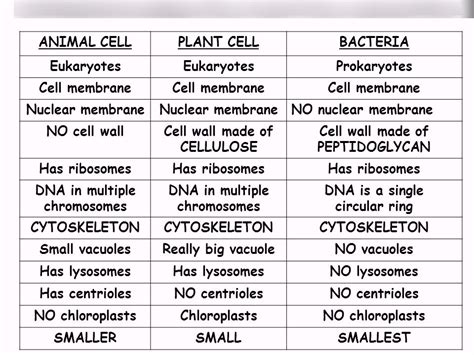 Similarities and Differences of Prokaryotic, Eukaryotic (Plant and Animal) Cells Diagram | Quizlet