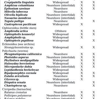 Early, late, and postlarval stages co- occurred in samples for... | Download Scientific Diagram