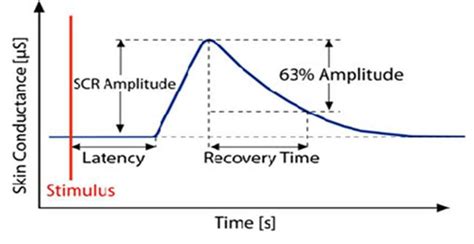 Response of a Skin Conductance | Download Scientific Diagram