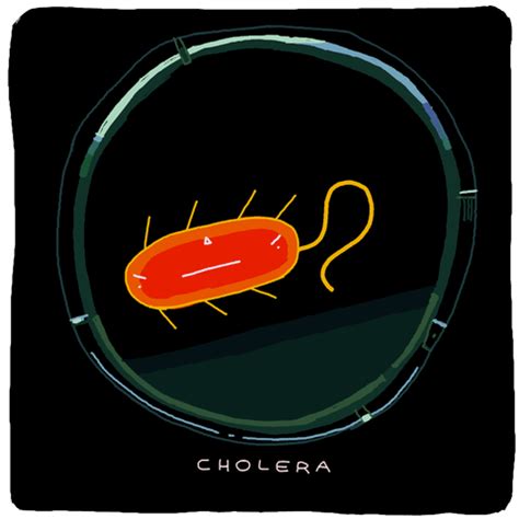 Vibrio Cholera GIFs - Find & Share on GIPHY