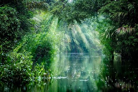 The Seven Natural Wonders Of Costa Rica - WorldAtlas