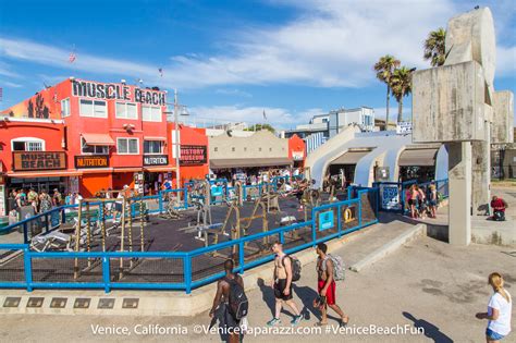 » Muscle Beach Gym