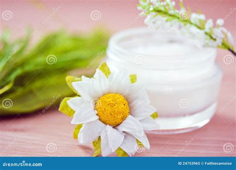 Natural Ingredients for Cosmetics Products Stock Image - Image of face, moisturizer: 24753965