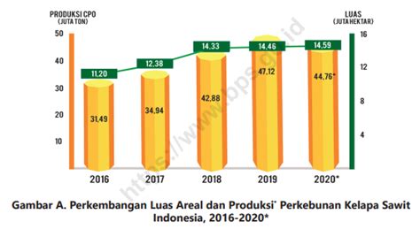 Riau Penghasil Kelapa Sawit Terbesar di Indonesia · Ninna.id