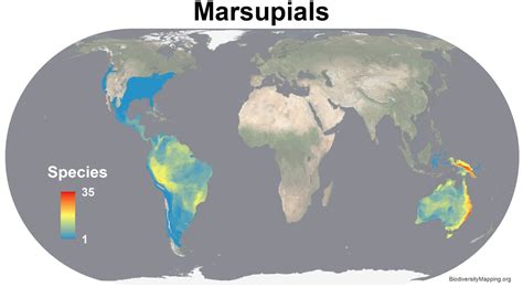 Marsupial Range and Biodiversity - Maps on the Web