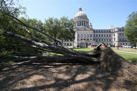 1 dead, nearly 2 dozen injured after multiple tornadoes sweep through Mississippi - Barbados Today