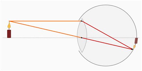 Physik Thema Optik Deckblatt