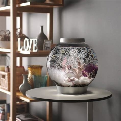 All-In-One Globe Aquarium » Petagadget