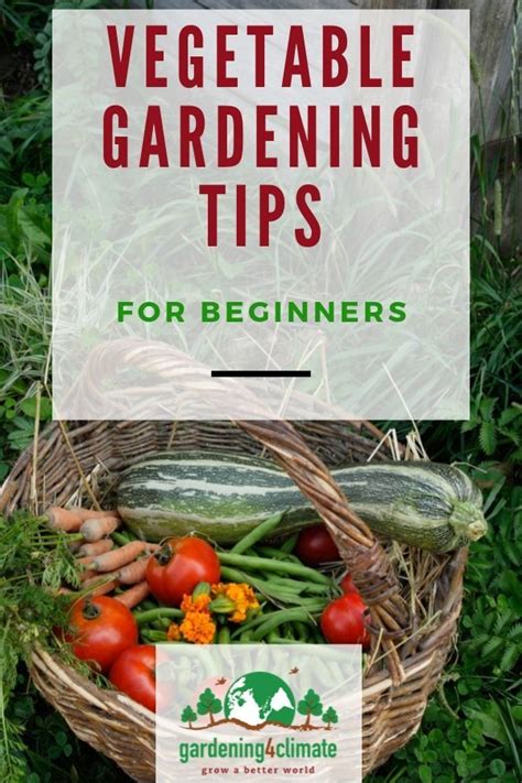 Organic Vegetable Gardening Tips | Grow your own food, Gardening tips ...