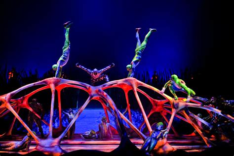 CIRQUE DU SOLEIL: TOTEM, A Spellbinding Circus Production With History, Humor and Heart - When ...