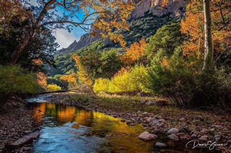 7 Arizona Autumn Photos That Will Make You Fall in Love With the State