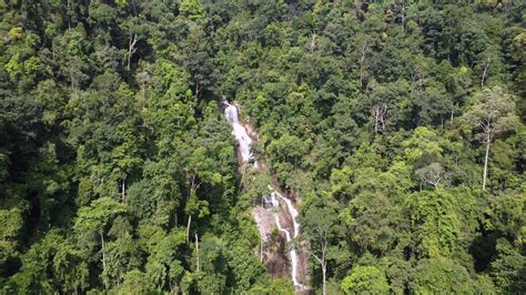 Aerial fly forward Penang Botanical Garden waterfall cascading 21192794 ...