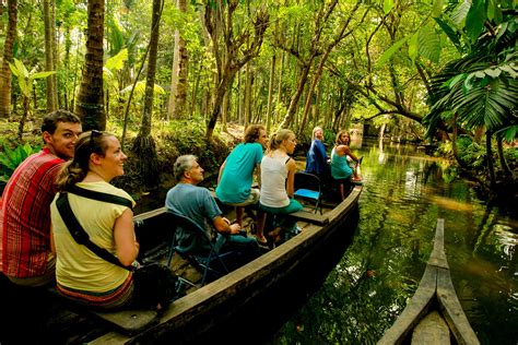 Boat Safari - Wildlife Experience