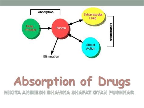 Drug absorption