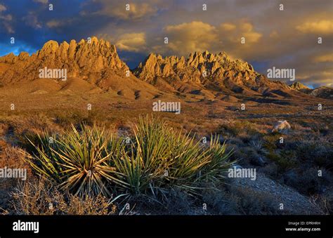 Organ mountains desert peaks national monument hi-res stock photography ...