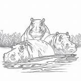 Hippo Coloring Page Hippo Crafts Cartoon sketch template