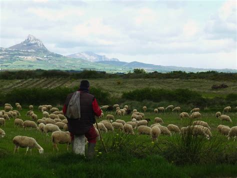 Local Culture & Traditions — Northern Spain Tour