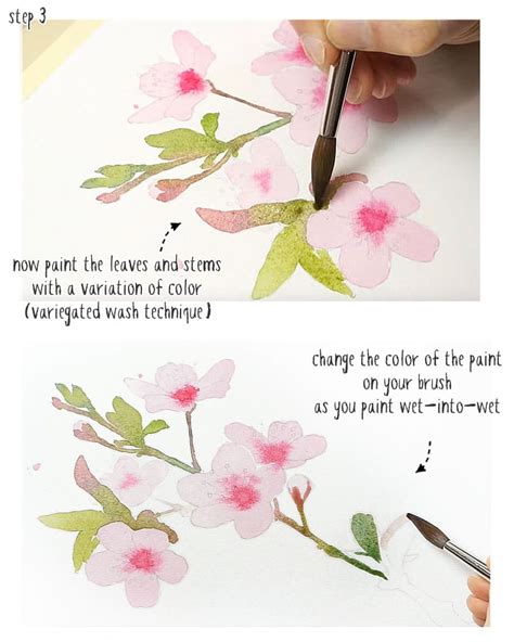 How To Paint Watercolor Cherry Blossom (In 15 Minutes!)