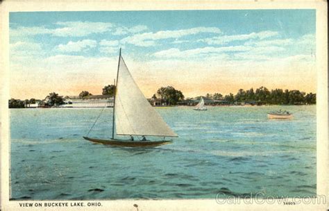 View on Buckeye Lake Ohio Postcard