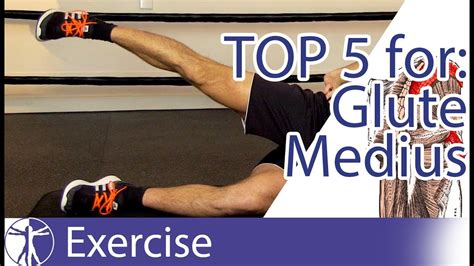 Top 5 Gluteus Medius Exercises - YouTube