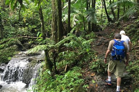 2023 El Yunque National Forest Half Day Tour