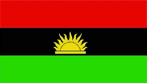 Policeman Tries To Arrest A Fan With Biafra Flag, Drama Ensues [PHOTOS]