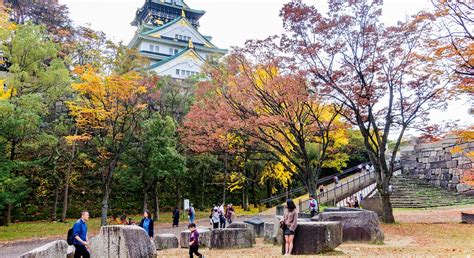 Resplendent colors at Osaka Castle in Autumn • langyaw