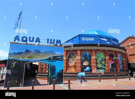 Two Oceans Aquarium, Marina, V&A (Victoria and Alfred) Waterfront, Cape ...