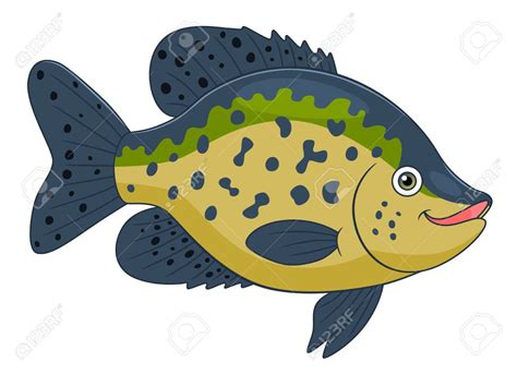 crappie fish clipart 20 free Cliparts | Download images on Clipground 2024