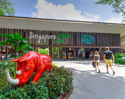 Kinh nghiệm khám phá Singapore Zoo tự túc chi tiết, đầy đủ