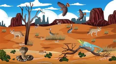 Desert Biome Animals