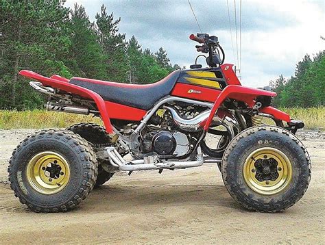 READER'S RIDES: Yamaha's Banshee is still alive! - Dirt Wheels Magazine